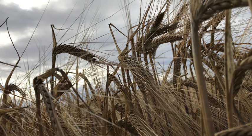 Falling demand signals shift in Scotland’s rural land market