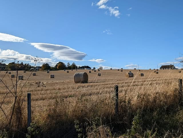 Tenant Farming